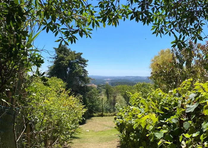 Páteo Do Duque Salir de Matos