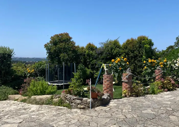 Páteo Do Duque * Salir de Matos